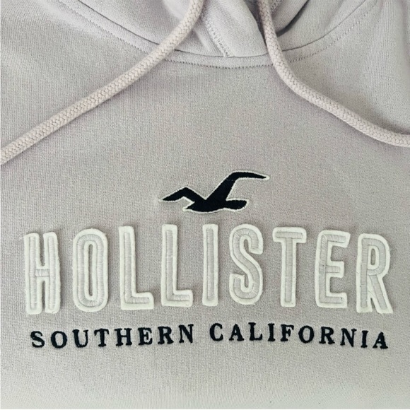 Hollister Embroidered Logo Graphic Hoodie - Picture 3 of 7